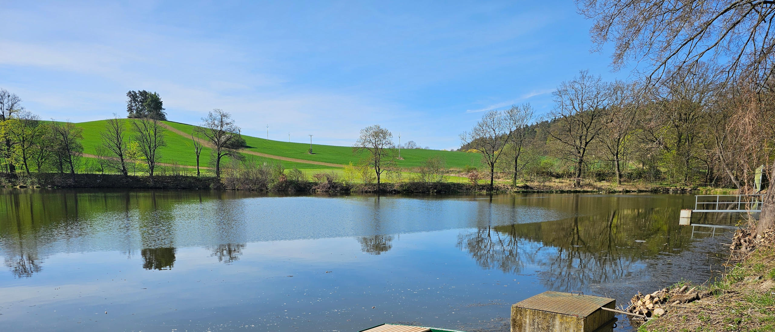 pond
